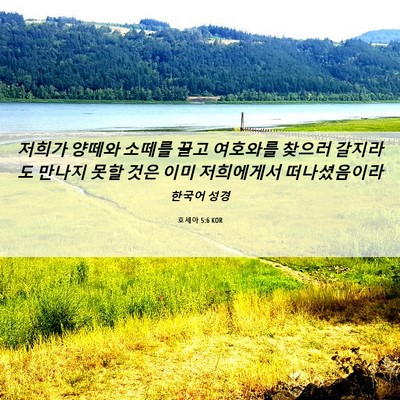 Picture 06 - 호세아 5:6 KOR - 저희가 양떼와 소떼를 끌고 여호와를 - Bible Verse Picture