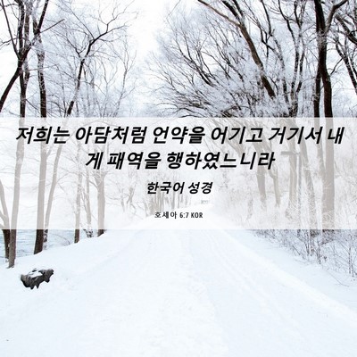 Picture 06 - 호세아 6:7 KOR - 저희는 아담처럼 언약을 어기고 - Bible Verse Picture