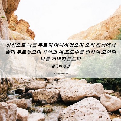 Picture 06 - 호세아 7:14 KOR - 성심으로 나를 부르지 아니하였으며 - Bible Verse Picture