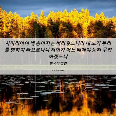 Picture 06 - 호세아 8:5 KOR - 사마리아여 네 송아지는 - Bible Verse Picture