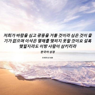 Picture 06 - 호세아 8:7 KOR - 저희가 바람을 심고 광풍을 거둘 - Bible Verse Picture