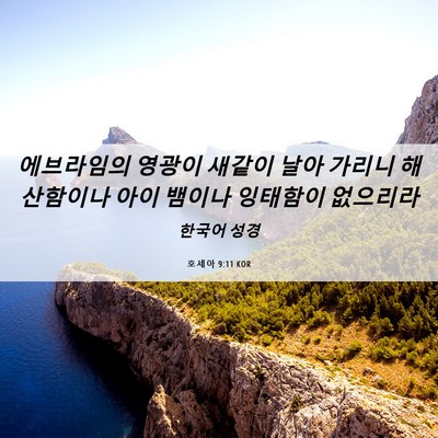 Picture 06 - 호세아 9:11 KOR - 에브라임의 영광이 새같이 날아 - Bible Verse Picture