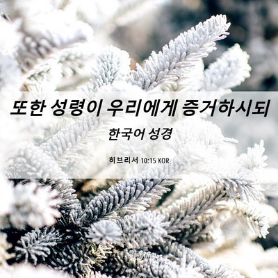 Picture 06 - 히브리서 10:15 KOR - 또한 성령이 우리에게 - Bible Verse Picture