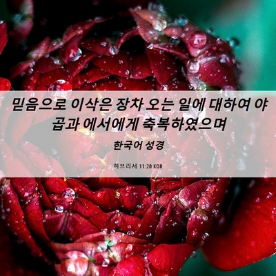 Picture 06 - 히브리서 11:20 KOR - 믿음으로 이삭은 장차 오는 일에 - Bible Verse Picture