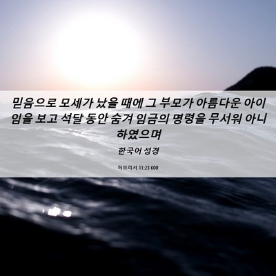 Picture 06 - 히브리서 11:23 KOR - 믿음으로 모세가 났을 때에 그 - Bible Verse Picture