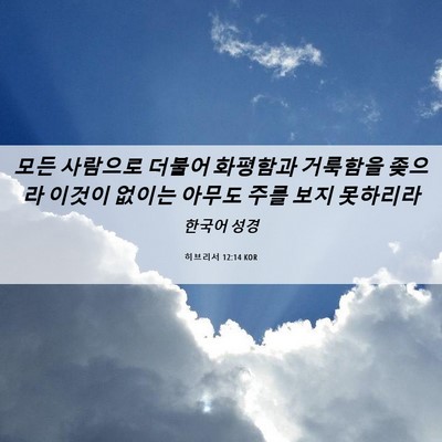 Picture 06 - 히브리서 12:14 KOR - 모든 사람으로 더불어 화평함과 - Bible Verse Picture