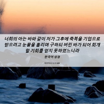 Picture 06 - 히브리서 12:17 KOR - 너희의 아는 바와 같이 저가 그후에 - Bible Verse Picture