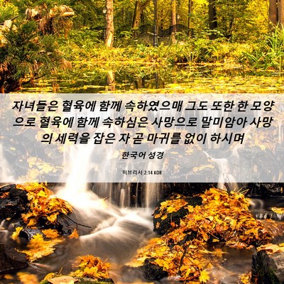 Picture 06 - 히브리서 2:14 KOR - 자녀들은 혈육에 함께 속하였으매 - Bible Verse Picture