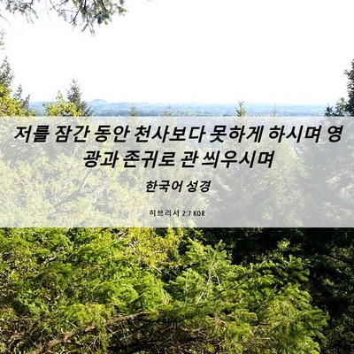 Picture 06 - 히브리서 2:7 KOR - 저를 잠간 동안 천사보다 못하게 - Bible Verse Picture