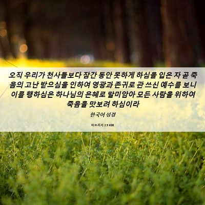 Picture 06 - 히브리서 2:9 KOR - 오직 우리가 천사들보다 잠간 동안 - Bible Verse Picture