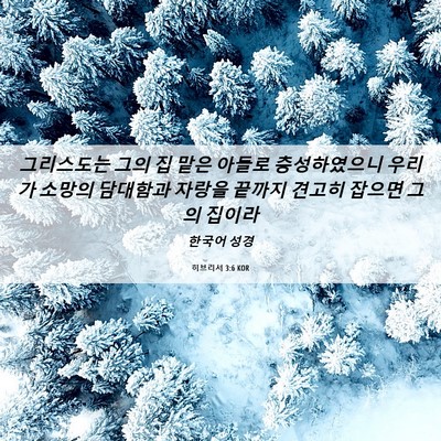 Picture 06 - 히브리서 3:6 KOR - 그리스도는 그의 집 맡은 아들로 - Bible Verse Picture