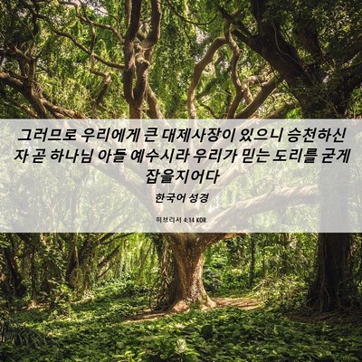 Picture 06 - 히브리서 4:14 KOR - 그러므로 우리에게 큰 대제사장이 - Bible Verse Picture