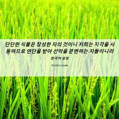 Picture 06 - 히브리서 5:14 KOR - 단단한 식물은 장성한 자의 것이니 - Bible Verse Picture