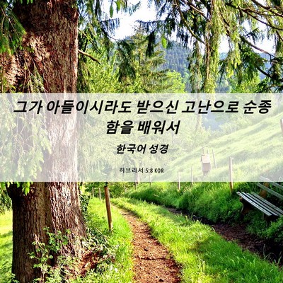 Picture 06 - 히브리서 5:8 KOR - 그가 아들이시라도 받으신 고난으로 - Bible Verse Picture