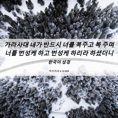 Picture 06 - 히브리서 6:14 KOR - 가라사대 내가 반드시 너를 복주고 - Bible Verse Picture