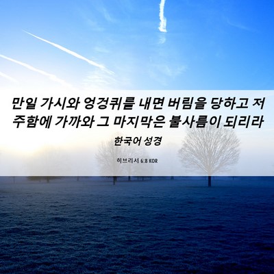 Picture 06 - 히브리서 6:8 KOR - 만일 가시와 엉겅퀴를 내면 버림을 - Bible Verse Picture