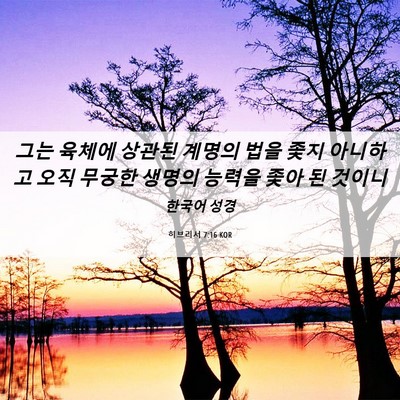 Picture 06 - 히브리서 7:16 KOR - 그는 육체에 상관된 계명의 법을 - Bible Verse Picture