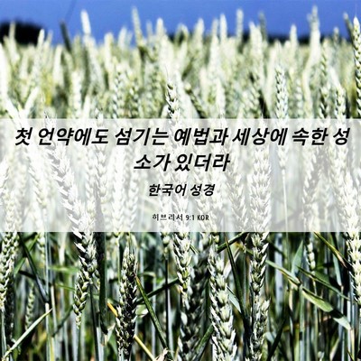 Picture 06 - 히브리서 9:1 KOR - 첫 언약에도 섬기는 예법과 세상에 - Bible Verse Picture