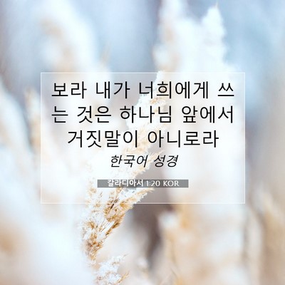 Picture 07 - 갈라디아서 1:20 KOR - 보라 내가 너희에게 쓰는 것은 - Bible Verse Picture