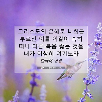 Picture 07 - 갈라디아서 1:6 KOR - 그리스도의 은혜로 너희를 부르신 - Bible Verse Picture