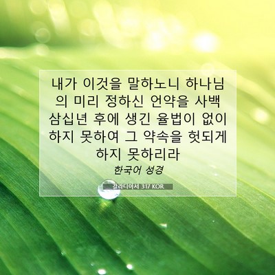 Picture 07 - 갈라디아서 3:17 KOR - 내가 이것을 말하노니 하나님의 미리 - Bible Verse Picture