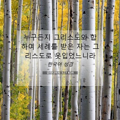 Picture 07 - 갈라디아서 3:27 KOR - 누구든지 그리스도와 합하여 세례를 - Bible Verse Picture