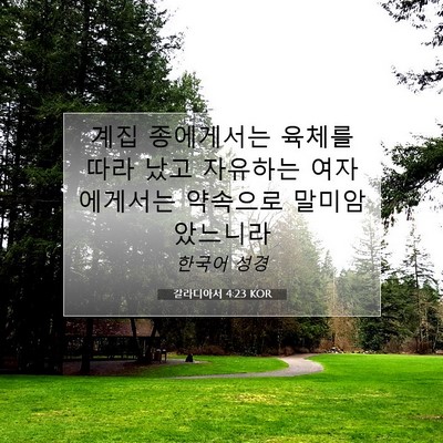 Picture 07 - 갈라디아서 4:23 KOR - 계집 종에게서는 육체를 따라 났고 - Bible Verse Picture