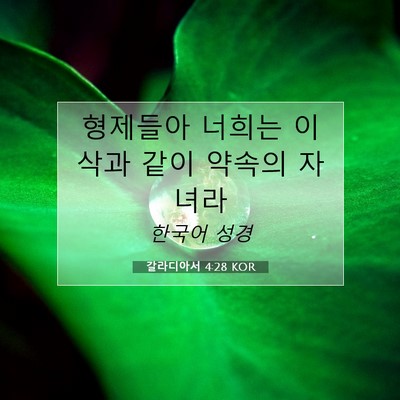 Picture 07 - 갈라디아서 4:28 KOR - 형제들아 너희는 이삭과 같이 약속의 - Bible Verse Picture