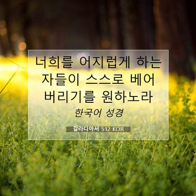 Picture 07 - 갈라디아서 5:12 KOR - 너희를 어지럽게 하는 자들이 스스로 - Bible Verse Picture