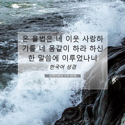 Picture 07 - 갈라디아서 5:14 KOR - 온 율법은 네 이웃 사랑하기를 네 - Bible Verse Picture