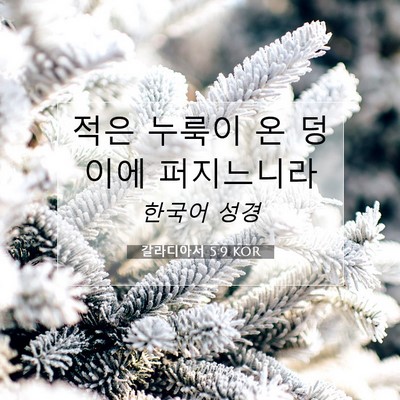 Picture 07 - 갈라디아서 5:9 KOR - 적은 누룩이 온 덩이에 - Bible Verse Picture
