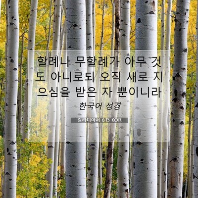Picture 07 - 갈라디아서 6:15 KOR - 할례나 무할례가 아무 것도 아니로되 - Bible Verse Picture