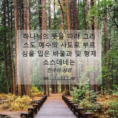 Picture 07 - 고린도전서 1:1 KOR - 하나님의 뜻을 따라 그리스도 예수의 - Bible Verse Picture