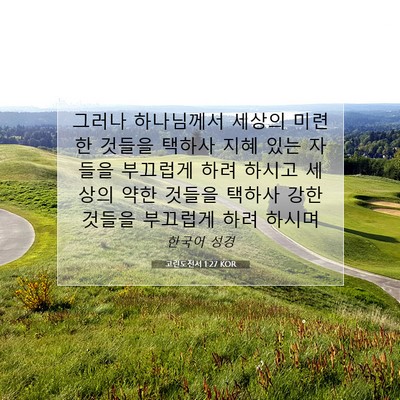 Picture 07 - 고린도전서 1:27 KOR - 그러나 하나님께서 세상의 미련한 - Bible Verse Picture