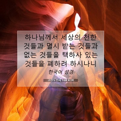Picture 07 - 고린도전서 1:28 KOR - 하나님께서 세상의 천한 것들과 멸시 - Bible Verse Picture