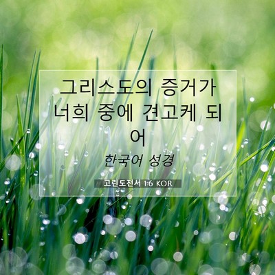 Picture 07 - 고린도전서 1:6 KOR - 그리스도의 증거가 너희 중에 견고케 - Bible Verse Picture