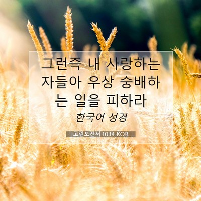 Picture 07 - 고린도전서 10:14 KOR - 그런즉 내 사랑하는 자들아 우상 - Bible Verse Picture