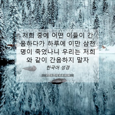 Picture 07 - 고린도전서 10:8 KOR - 저희 중에 어떤 이들이 간음하다가 - Bible Verse Picture
