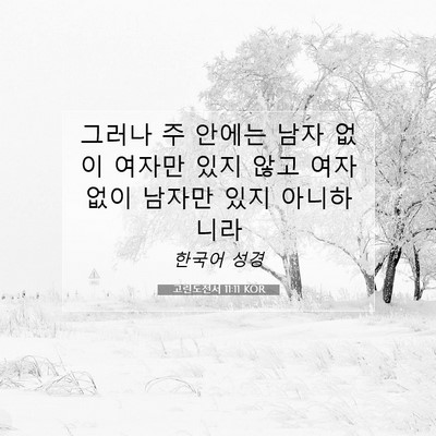 Picture 07 - 고린도전서 11:11 KOR - 그러나 주 안에는 남자 없이 여자만 - Bible Verse Picture