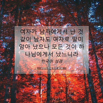 Picture 07 - 고린도전서 11:12 KOR - 여자가 남자에게서 난 것 같이 - Bible Verse Picture