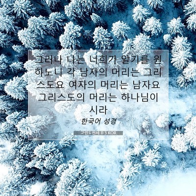 Picture 07 - 고린도전서 11:3 KOR - 그러나 나는 너희가 알기를 원하노니 - Bible Verse Picture