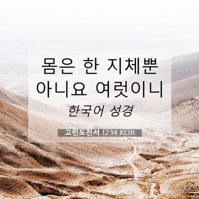 Picture 07 - 고린도전서 12:14 KOR - 몸은 한 지체뿐 아니요 - Bible Verse Picture