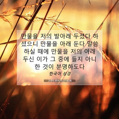 Picture 07 - 고린도전서 15:27 KOR - 만물을 저의 발아래 두셨다 하셨으니 - Bible Verse Picture