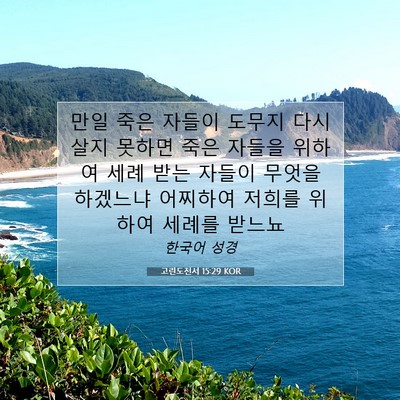 Picture 07 - 고린도전서 15:29 KOR - 만일 죽은 자들이 도무지 다시 살지 - Bible Verse Picture