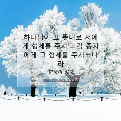 Picture 07 - 고린도전서 15:38 KOR - 하나님이 그 뜻대로 저에게 형체를 - Bible Verse Picture
