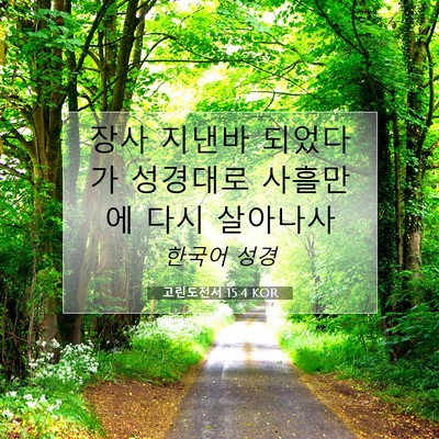 Picture 07 - 고린도전서 15:4 KOR - 장사 지낸바 되었다가 성경대로 - Bible Verse Picture