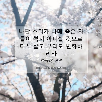 Picture 07 - 고린도전서 15:52 KOR - 나팔 소리가 나매 죽은 자들이 썩지 - Bible Verse Picture