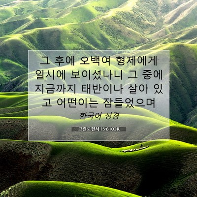 Picture 07 - 고린도전서 15:6 KOR - 그 후에 오백여 형제에게 일시에 - Bible Verse Picture