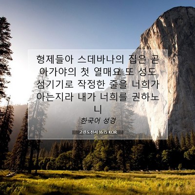 Picture 07 - 고린도전서 16:15 KOR - 형제들아 스데바나의 집은 곧 - Bible Verse Picture