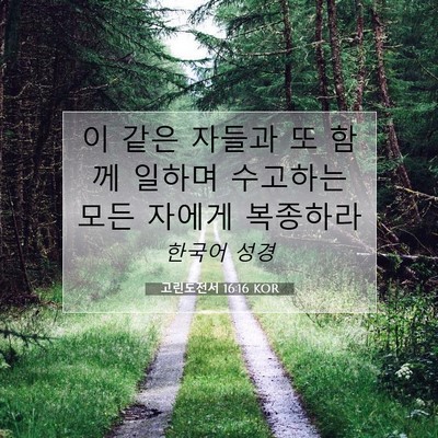 Picture 07 - 고린도전서 16:16 KOR - 이 같은 자들과 또 함께 일하며 - Bible Verse Picture
